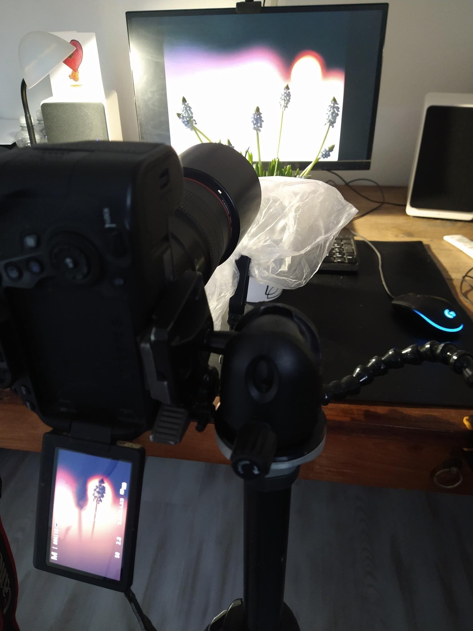 Photograph showing the artistic process of creating a macro photograph.