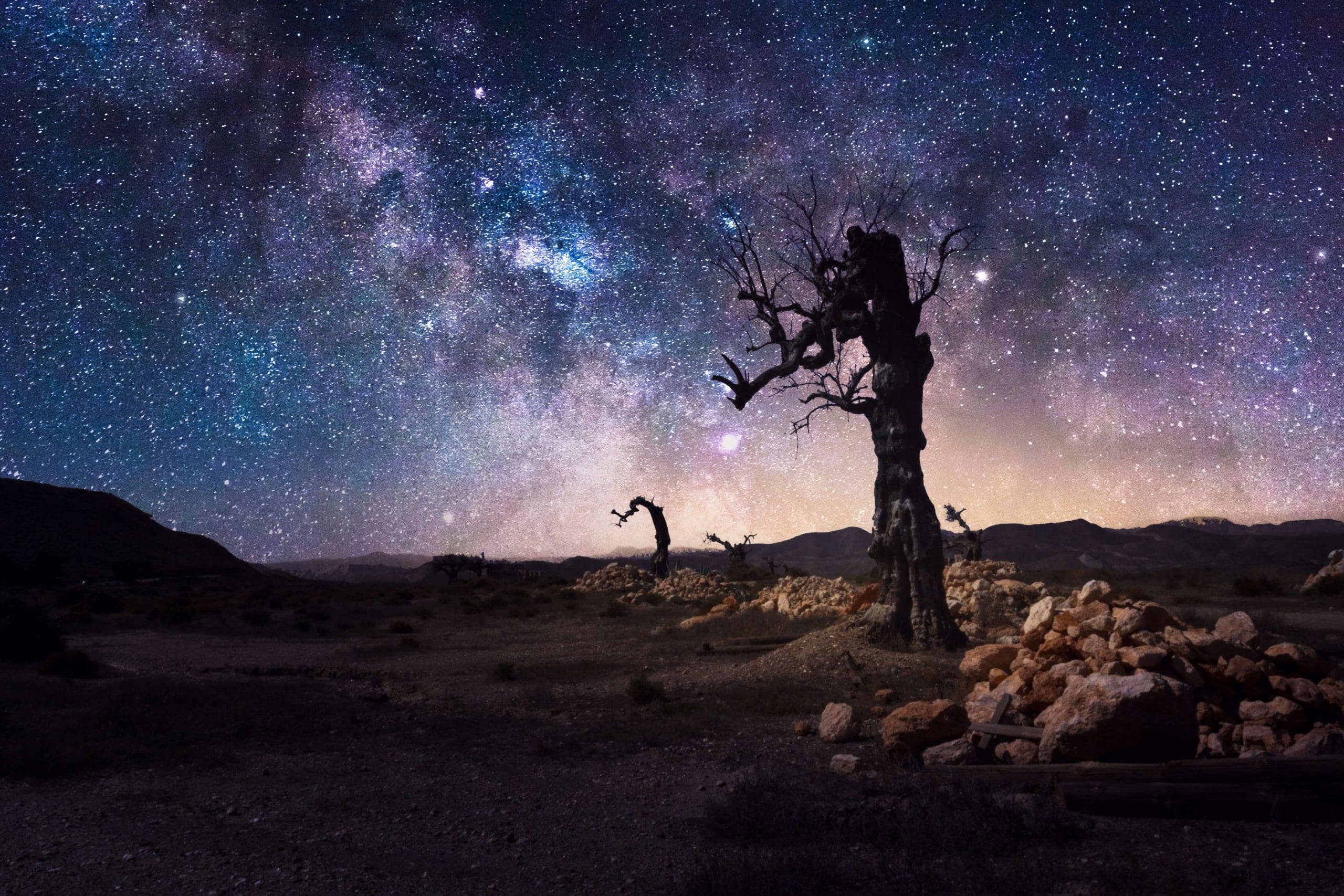 Photograph of Milky way with lonely tree in dark night.