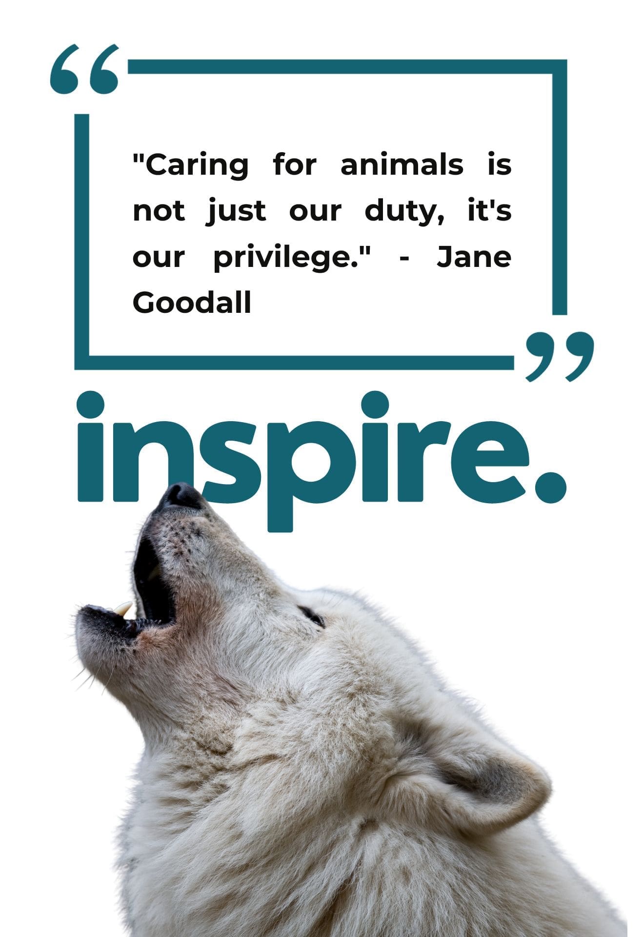 Young ambassadors for environment celebrating the animal kingdom.