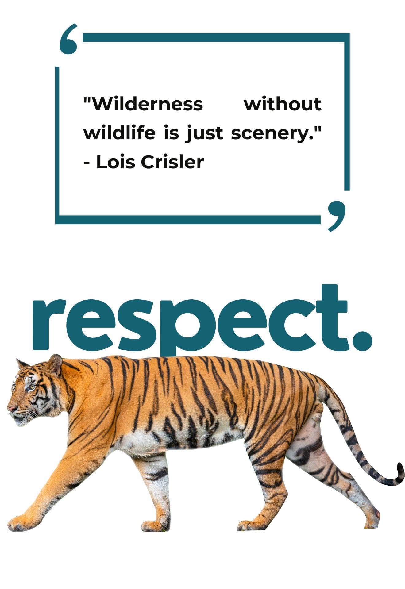 Efforts of conservation: Wilderness without wildlife is just scenery.