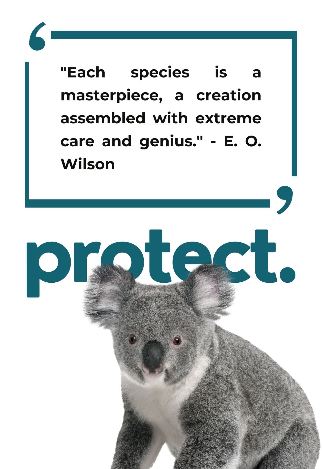 Efforts of conservation: Young ambassadors for environment celebrating the animal kingdom.