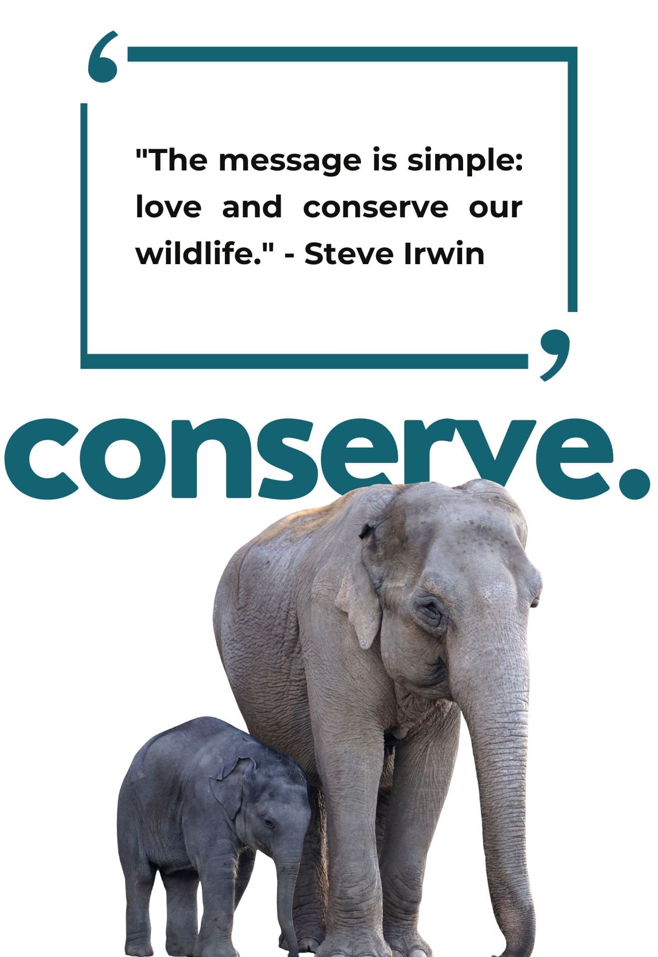 Young ambassador for environment: Love and conserve our wildlife.