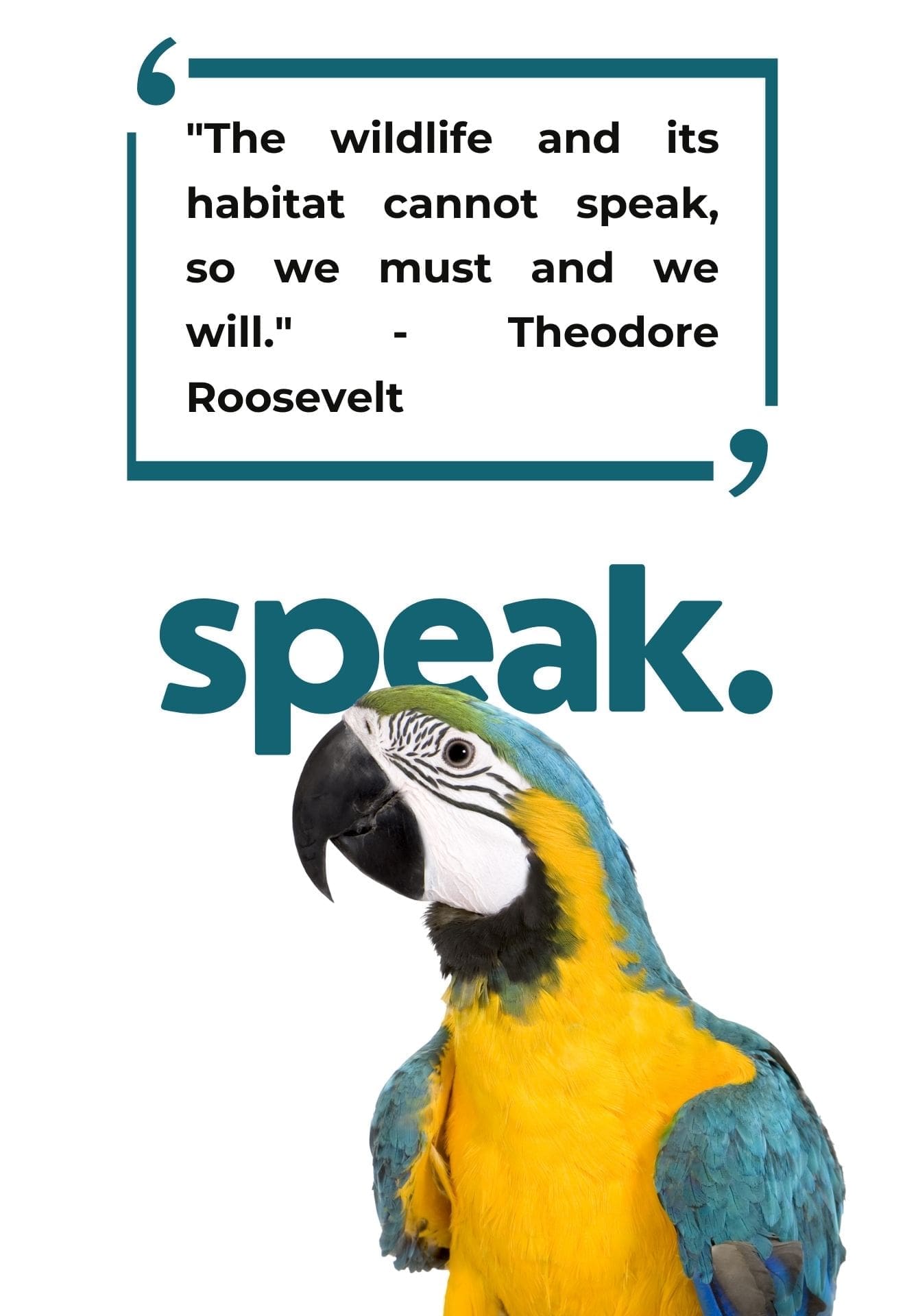 7 speak