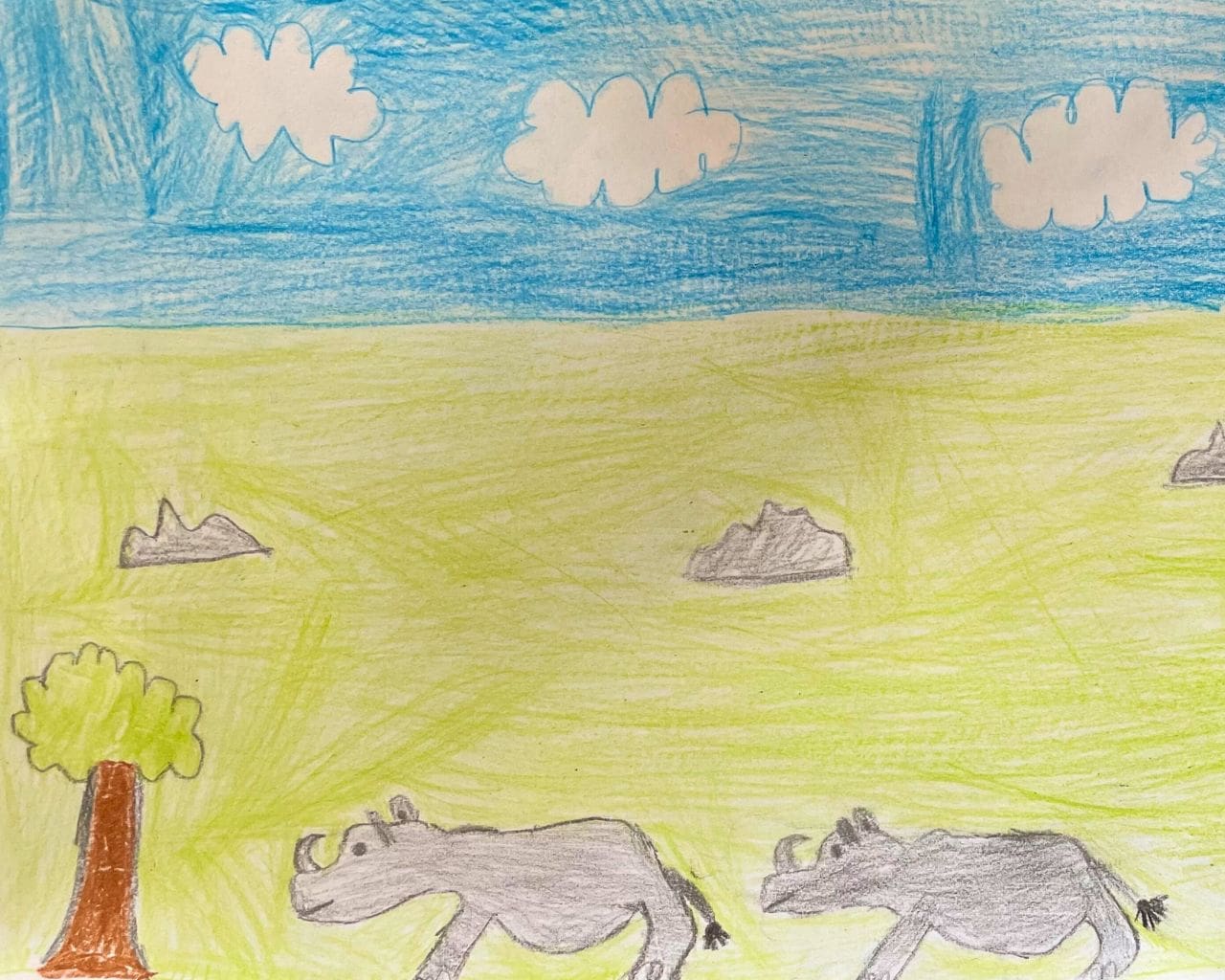 thomas romania age 9
