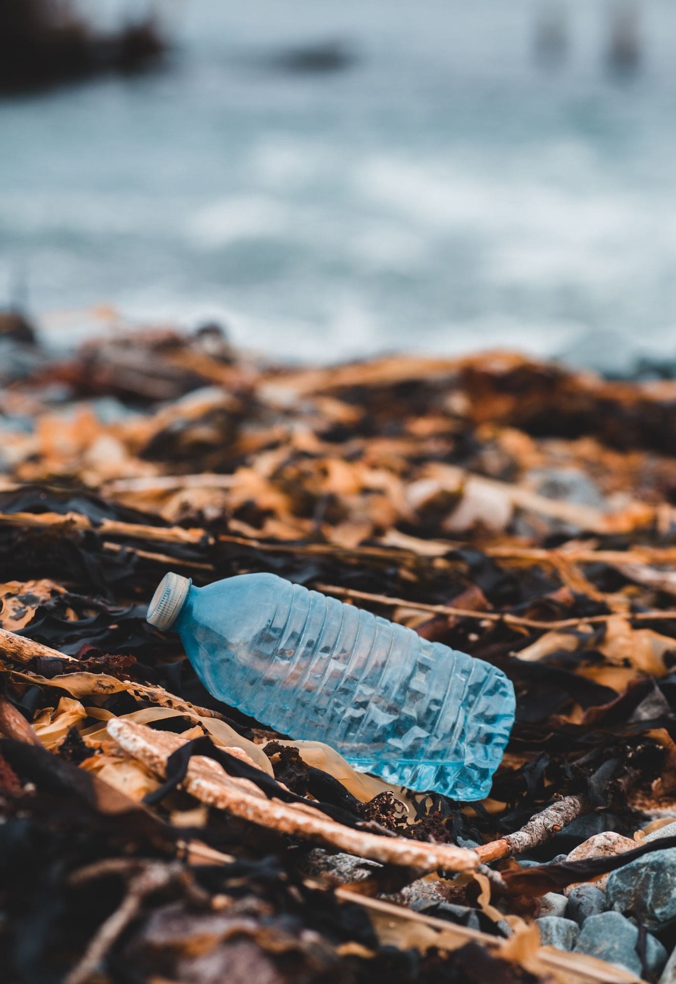 Shiva R. (India, Age 12): Plastic Is The Villain