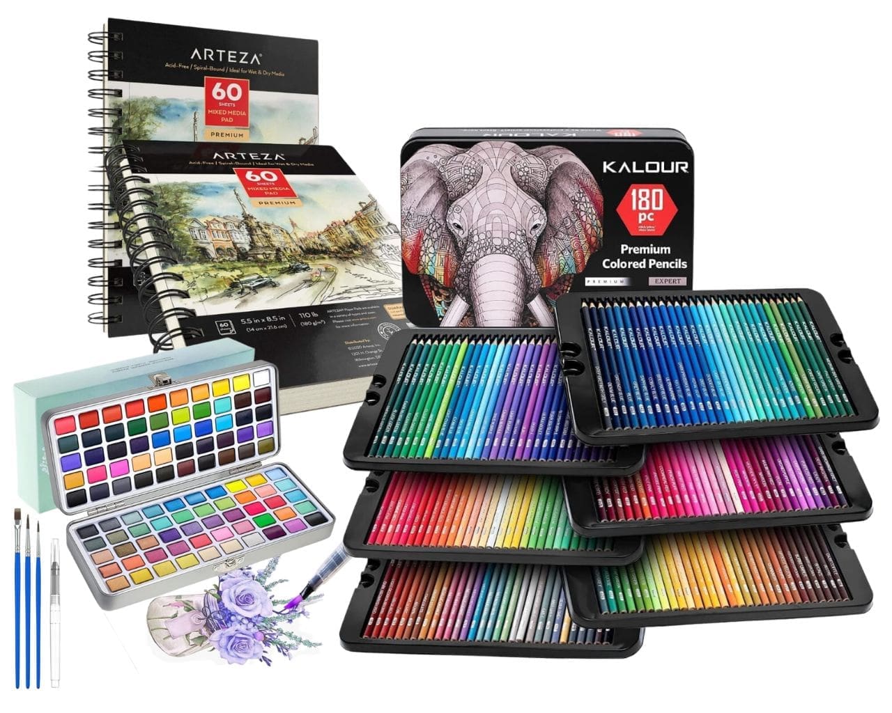 Winner of the "Celebrating the Animal Kingdom" drawing competition: premium drawing materials