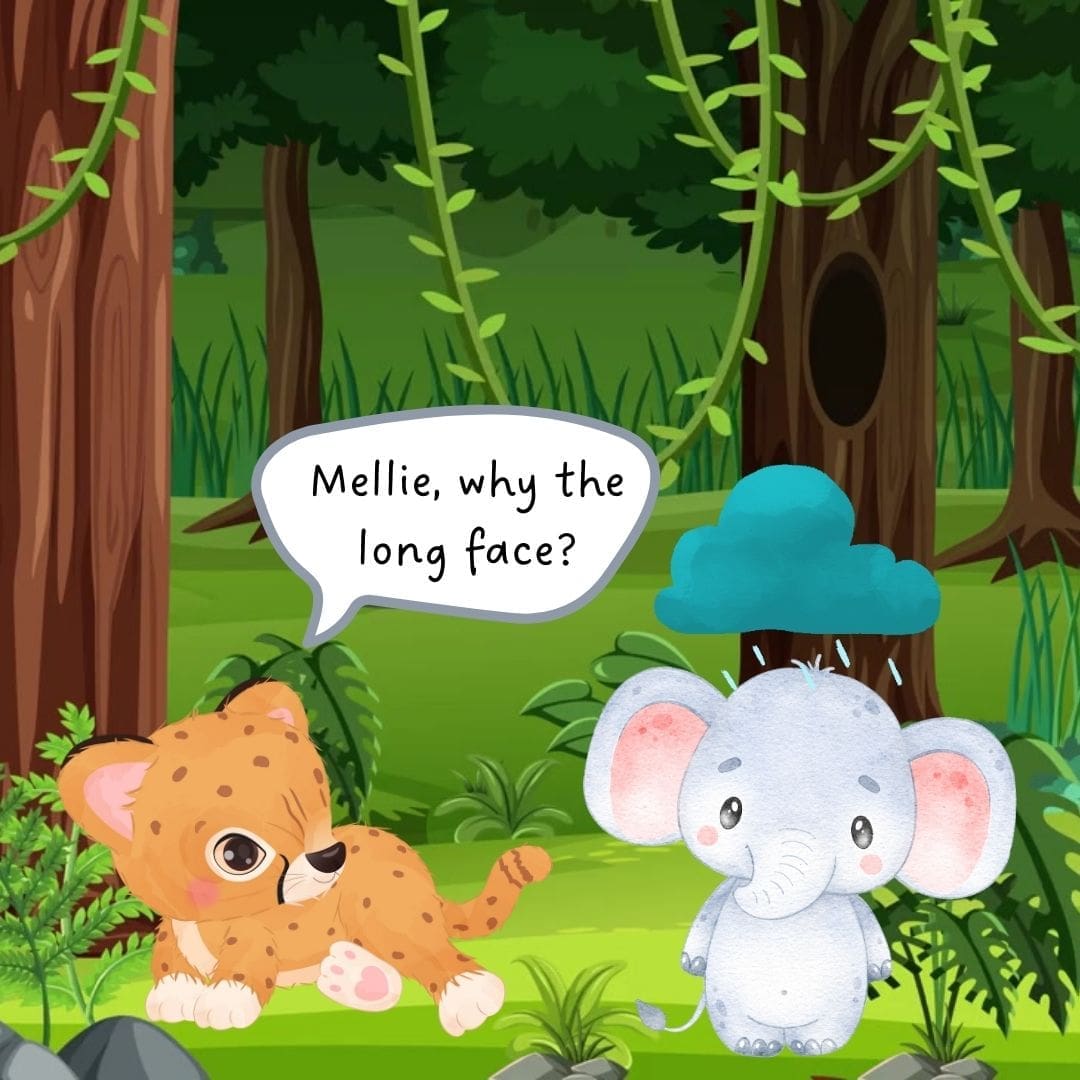 why the long face
